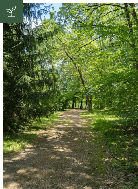 All&eacute;e verdoyante dans le terrain du grand g&icirc;te du Clos des Aubiers