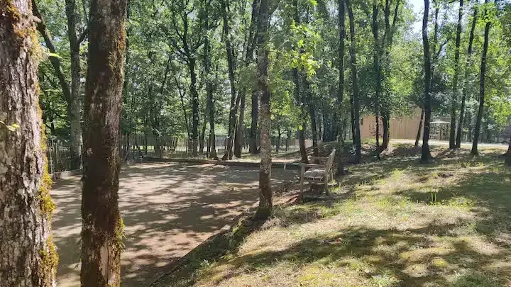 Terrain de pétanque au milieu des arbres du gîte la Clairière des Aubiers avec banc